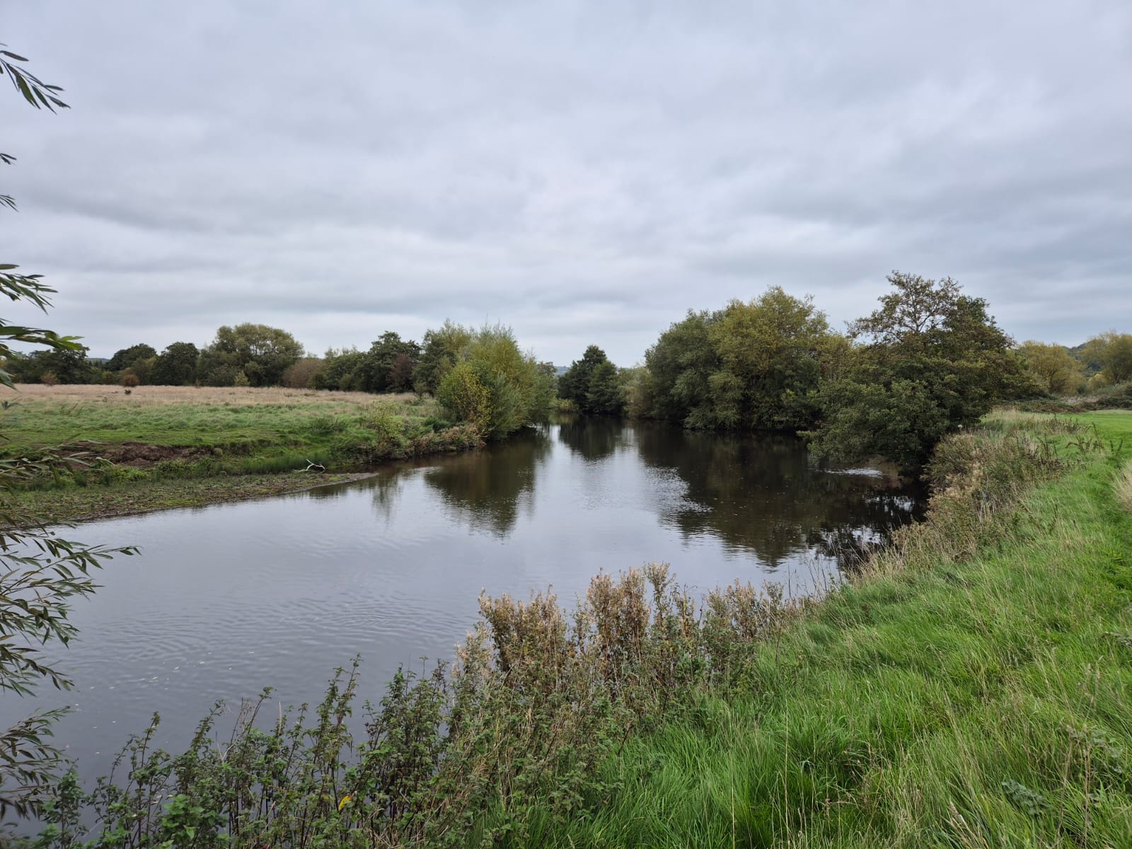 River Derwent – Darley Abbey photo 15