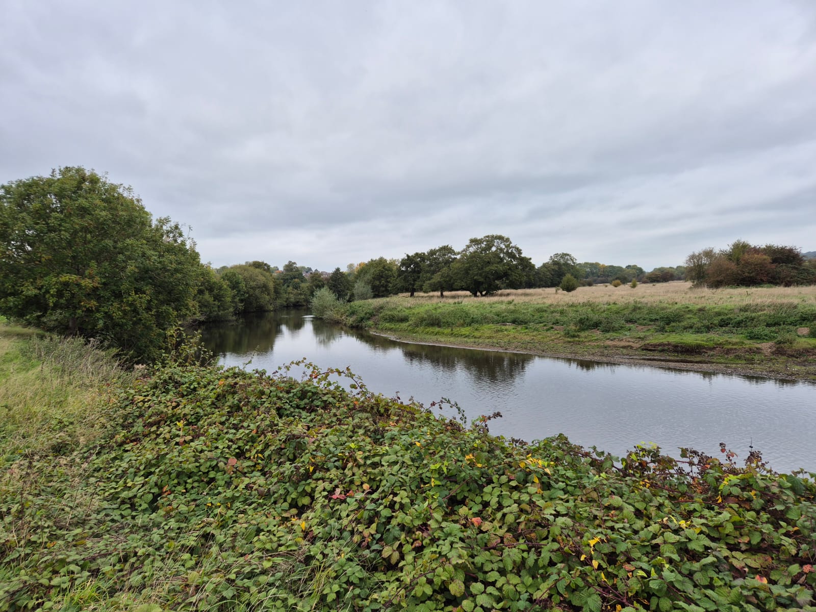 River Derwent – Darley Abbey photo 16
