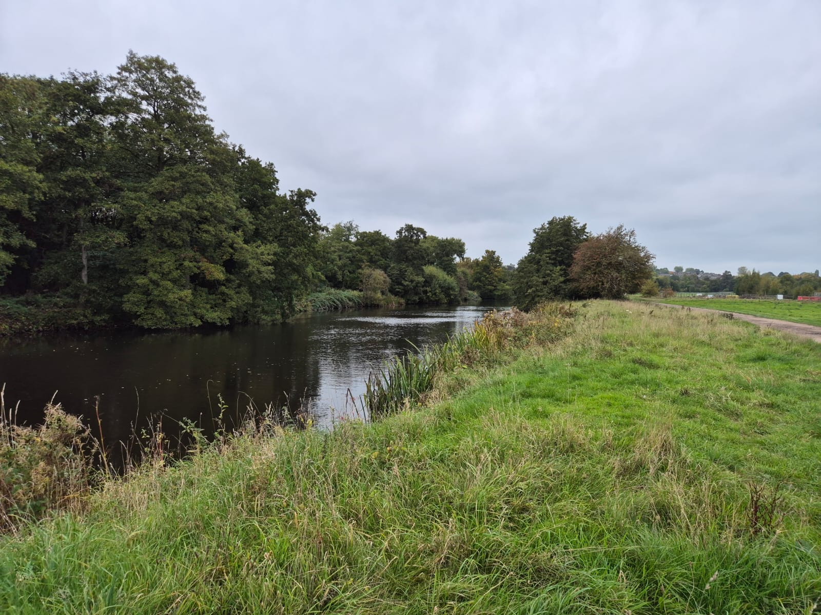 River Derwent – Darley Abbey photo 18