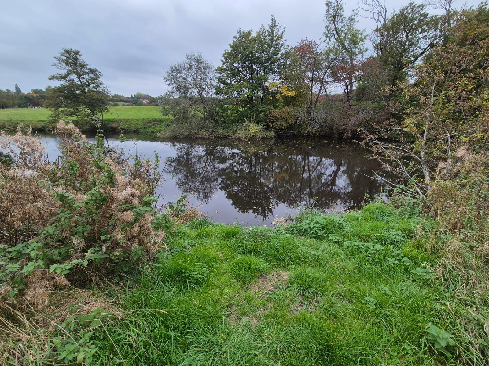 River Derwent – Darley Abbey photo 19