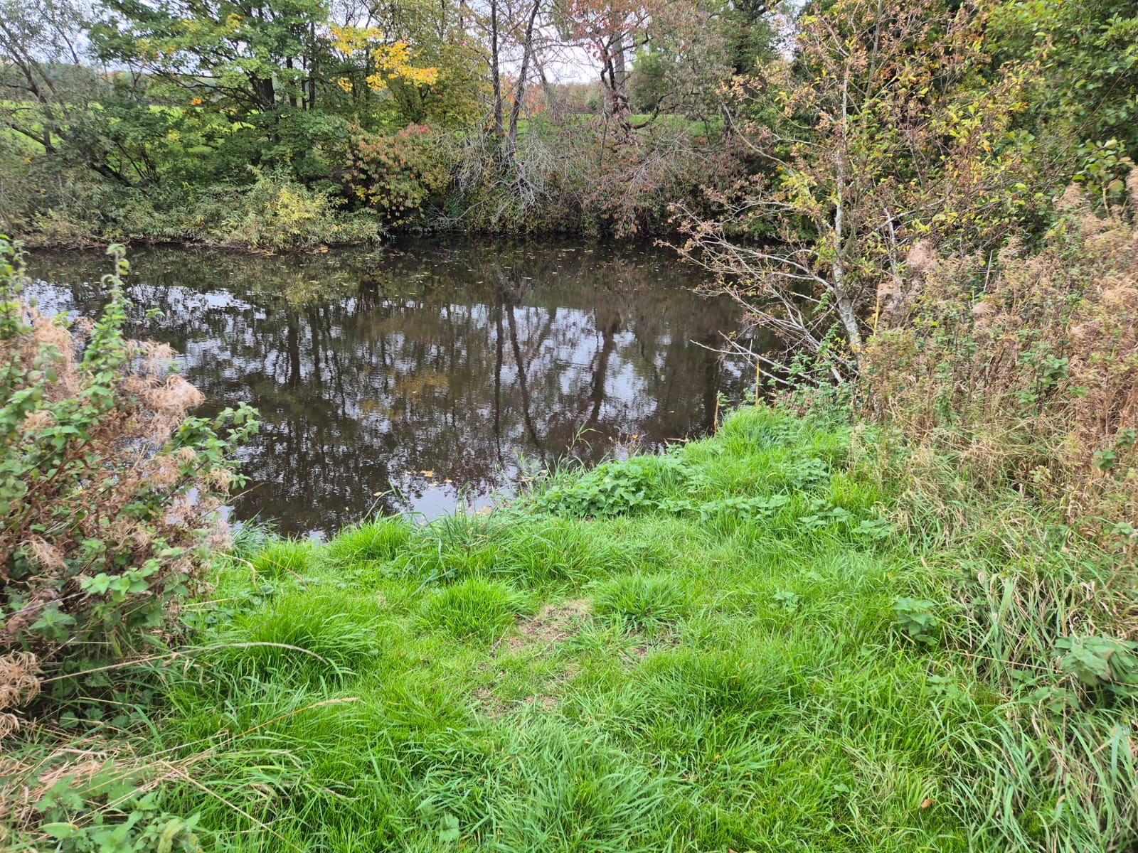 River Derwent – Darley Abbey photo 20