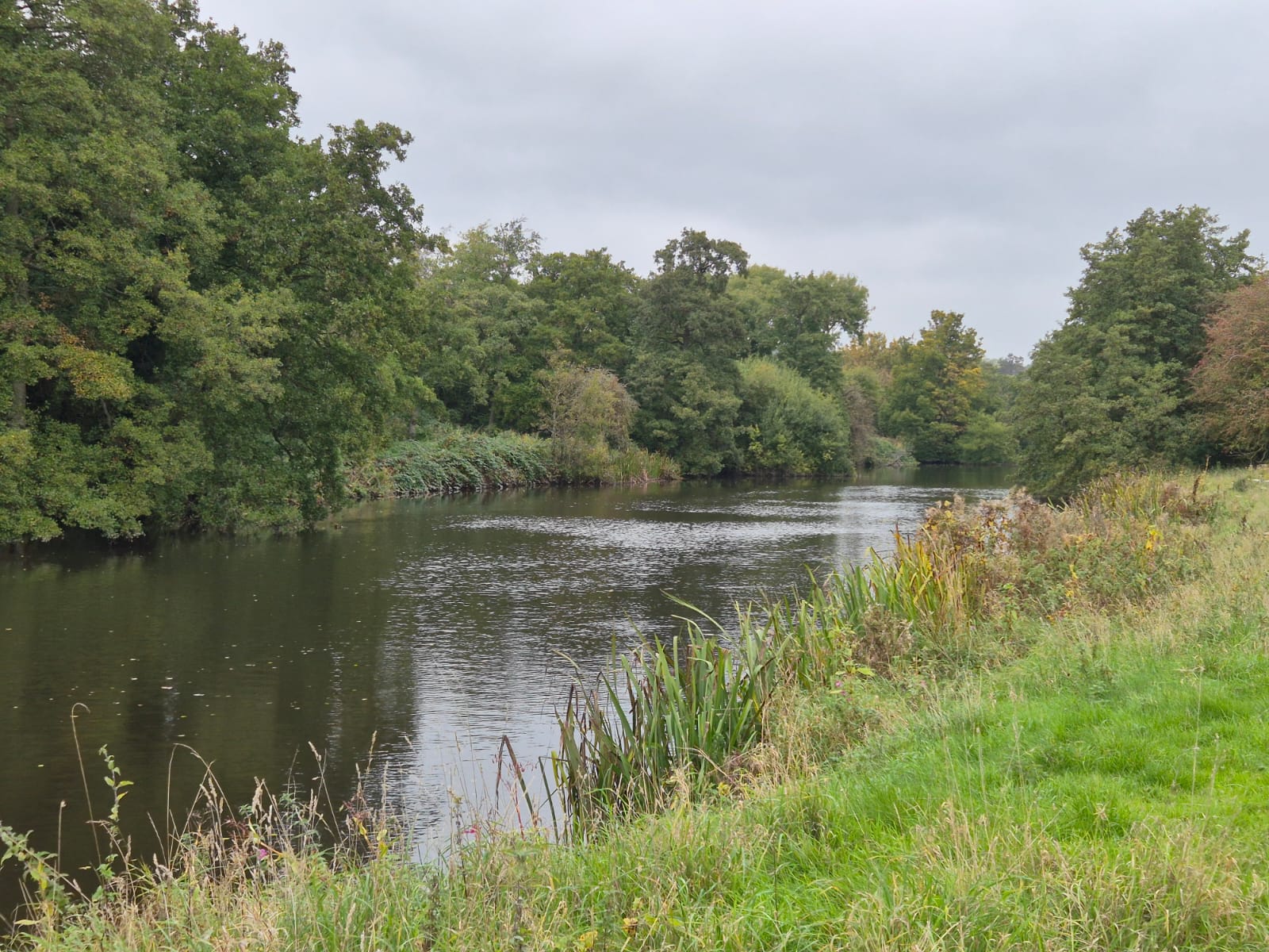 River Derwent – Darley Abbey photo 21
