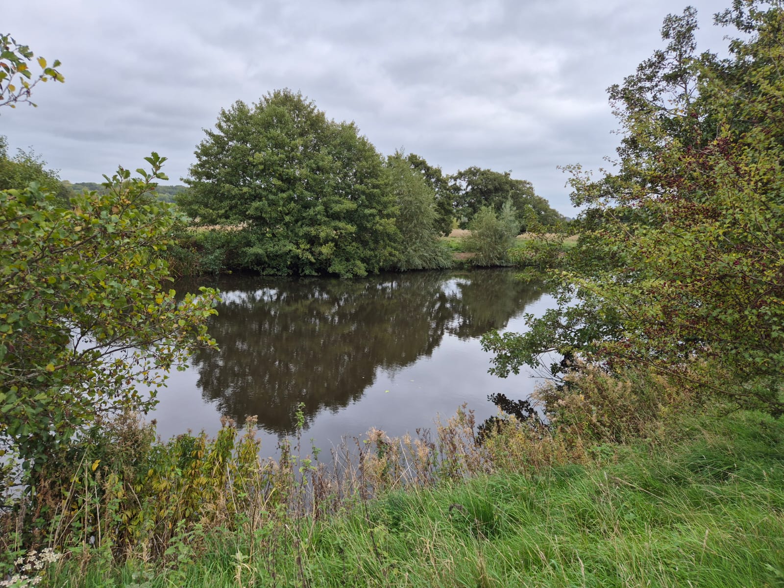 River Derwent – Darley Abbey photo 22