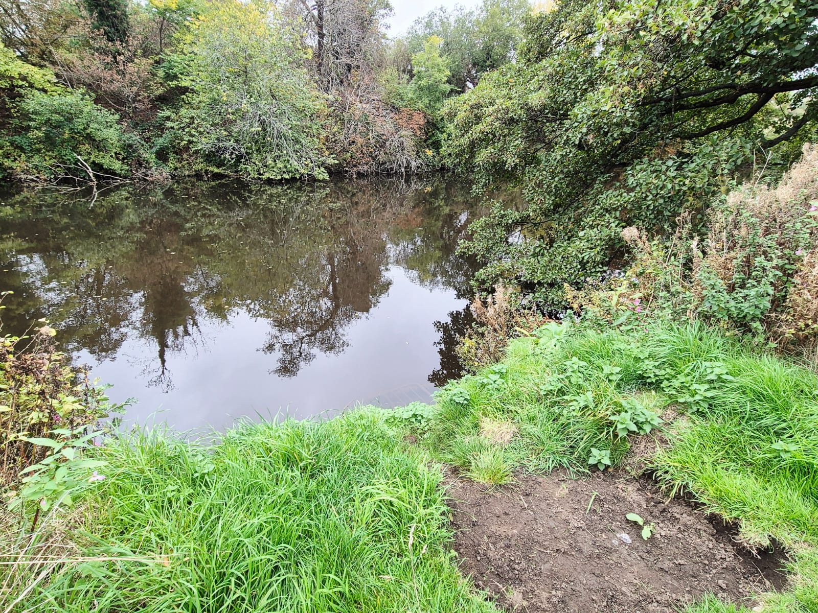River Derwent – Darley Abbey photo 23