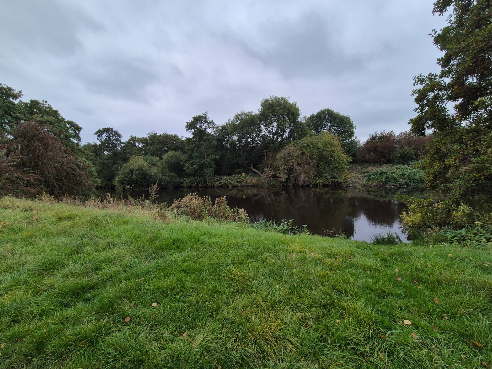 River Derwent – Darley Abbey photo 25