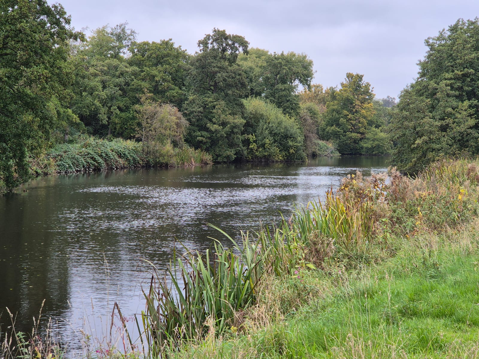 River Derwent – Darley Abbey photo 26
