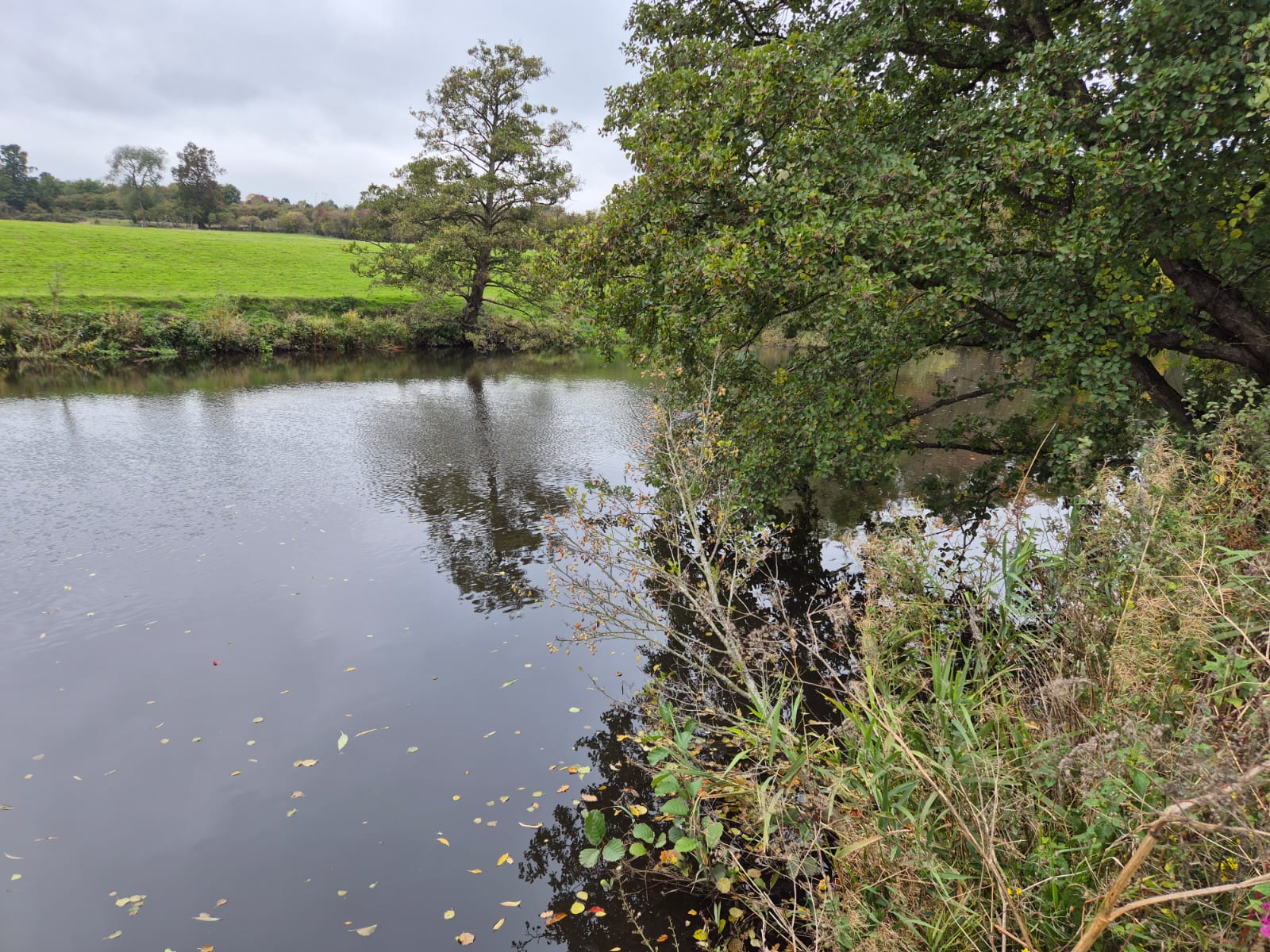 River Derwent – Darley Abbey photo 27