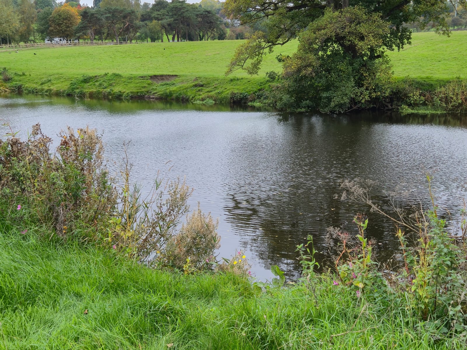 River Derwent – Darley Abbey photo 28