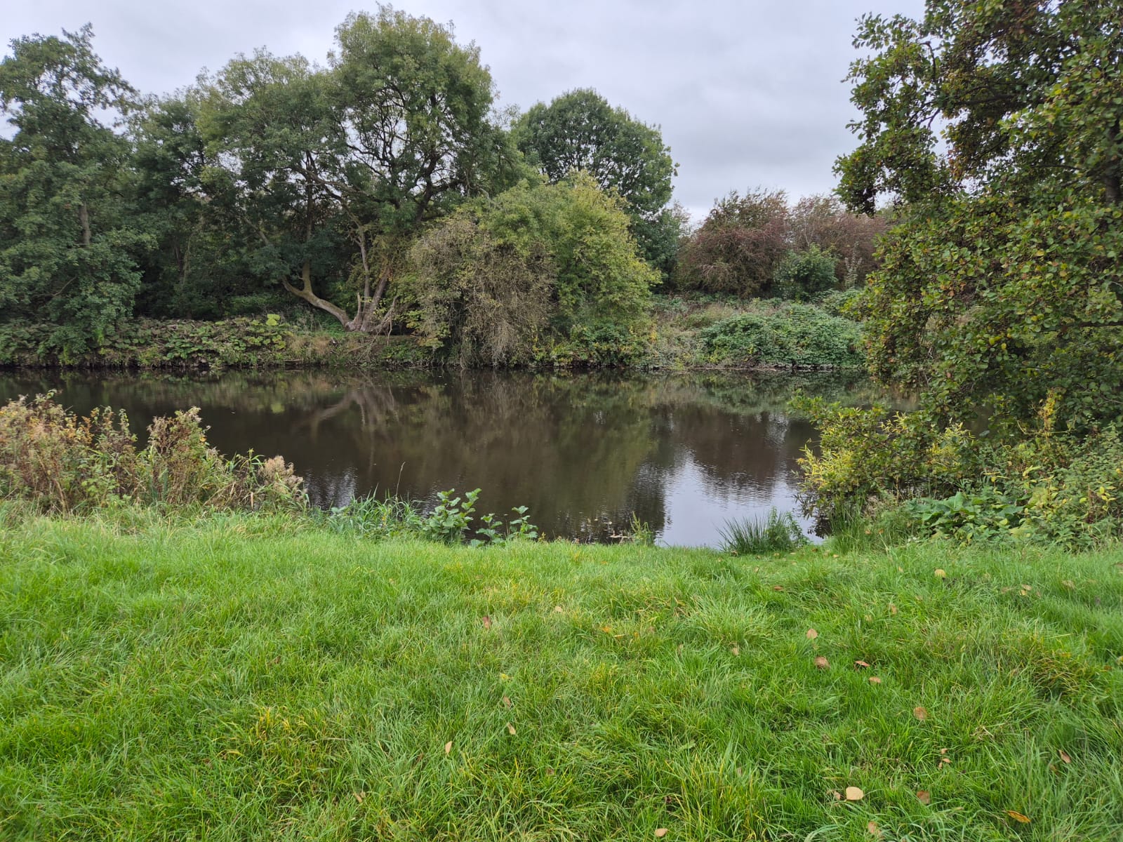 River Derwent – Darley Abbey photo 29