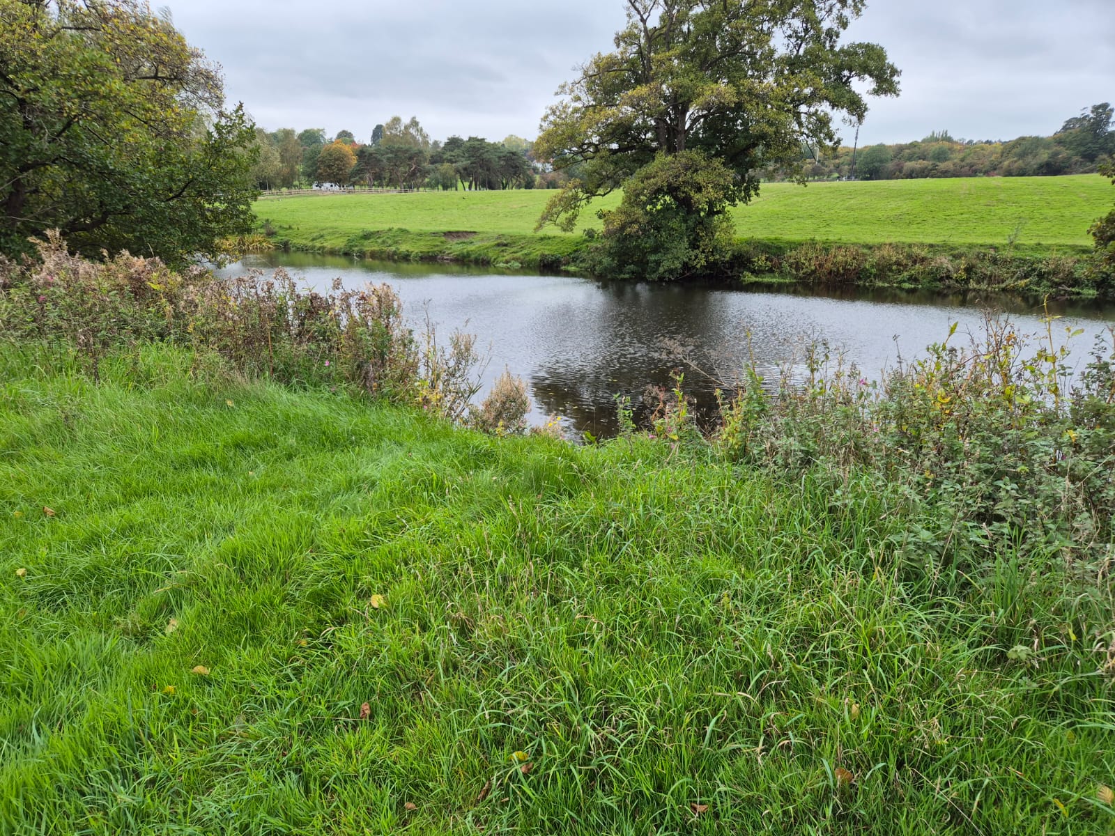 River Derwent – Darley Abbey photo 30