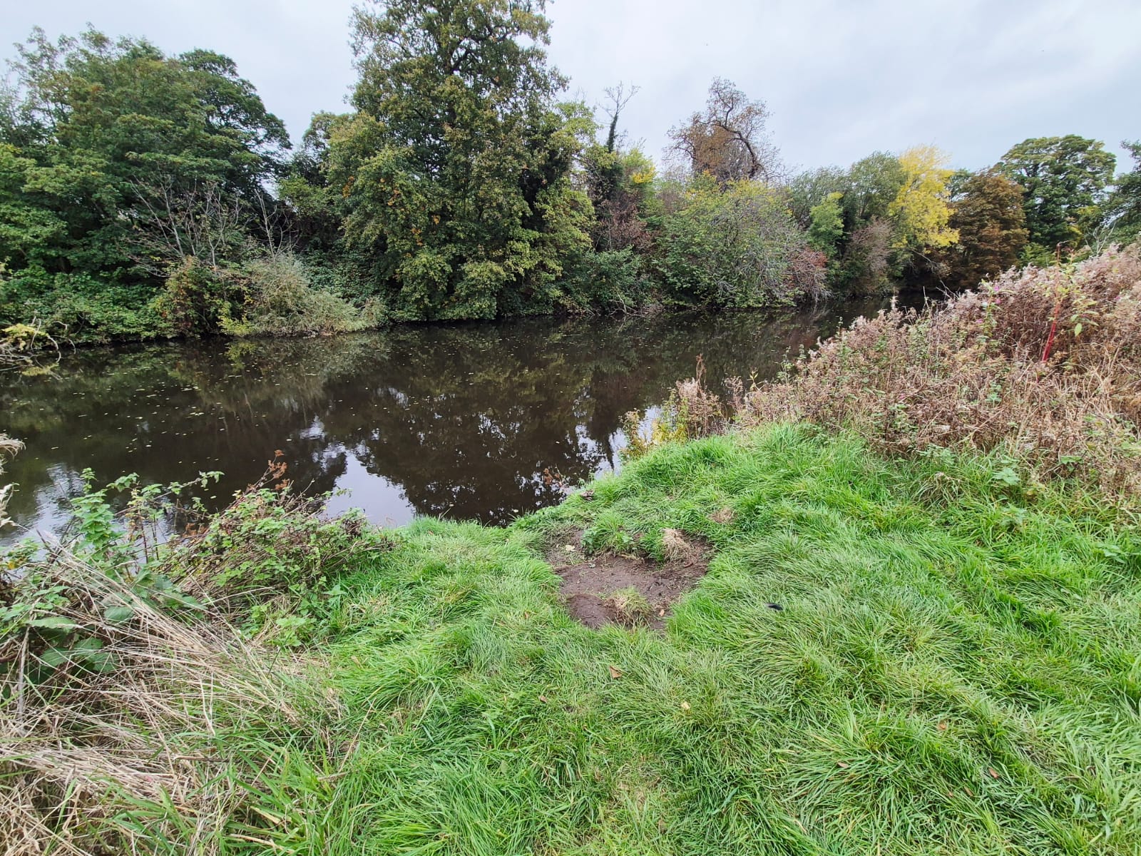 River Derwent – Darley Abbey photo 31