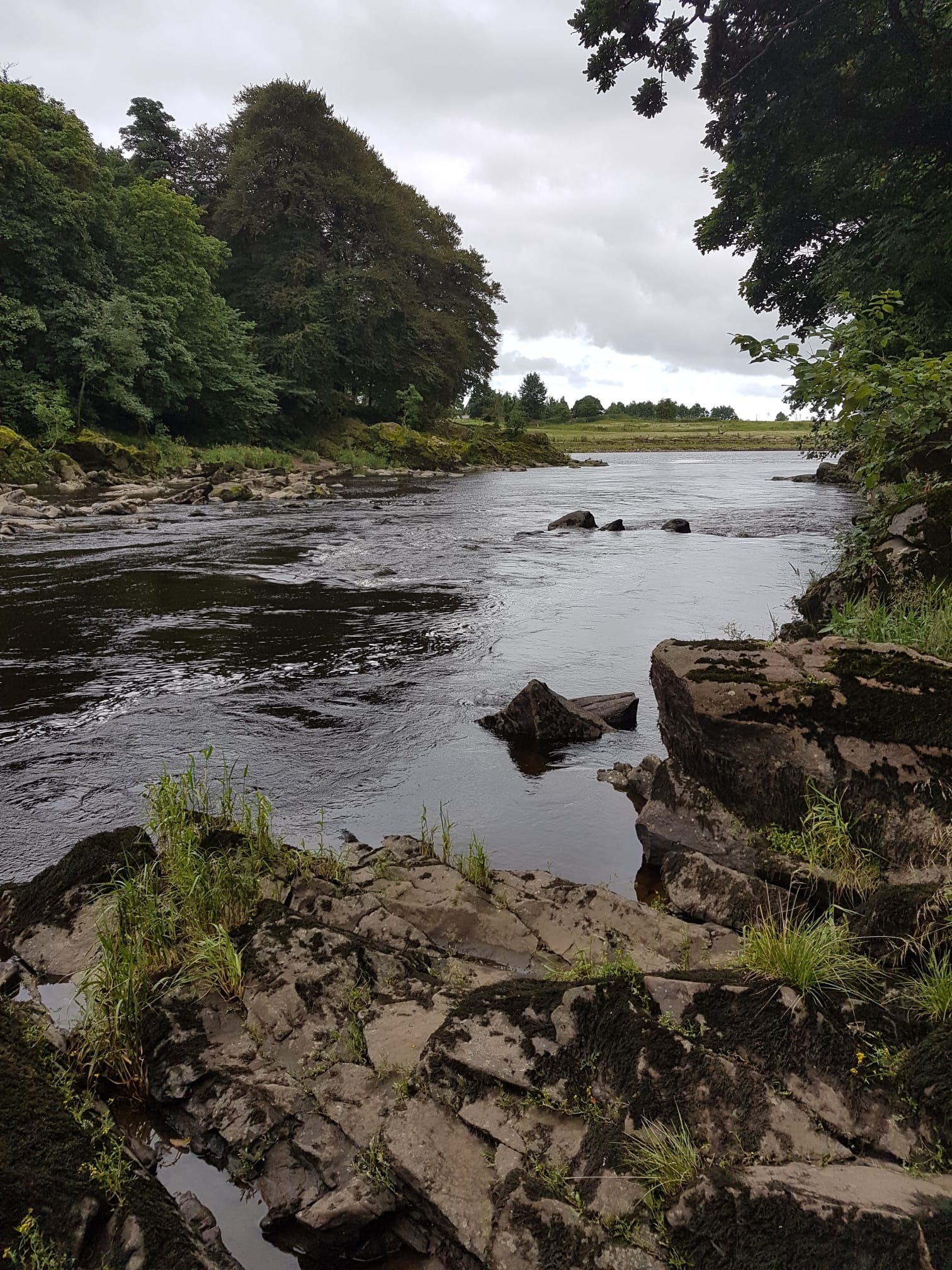River Ribble – Hurst Green photo 8