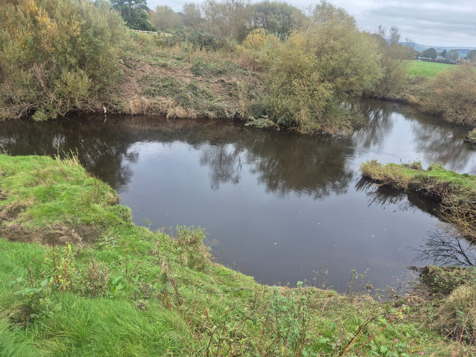 River Wyre – Churchtown photo 5
