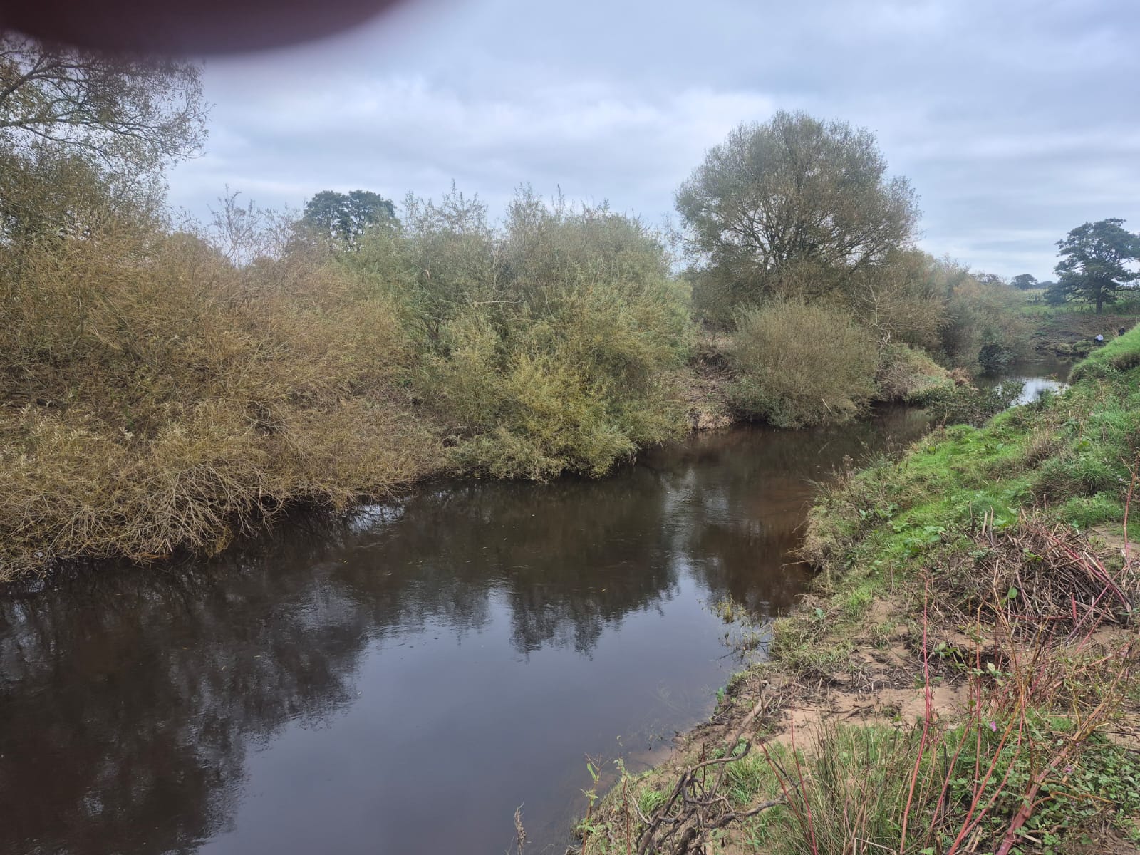 River Wyre – Churchtown photo 6