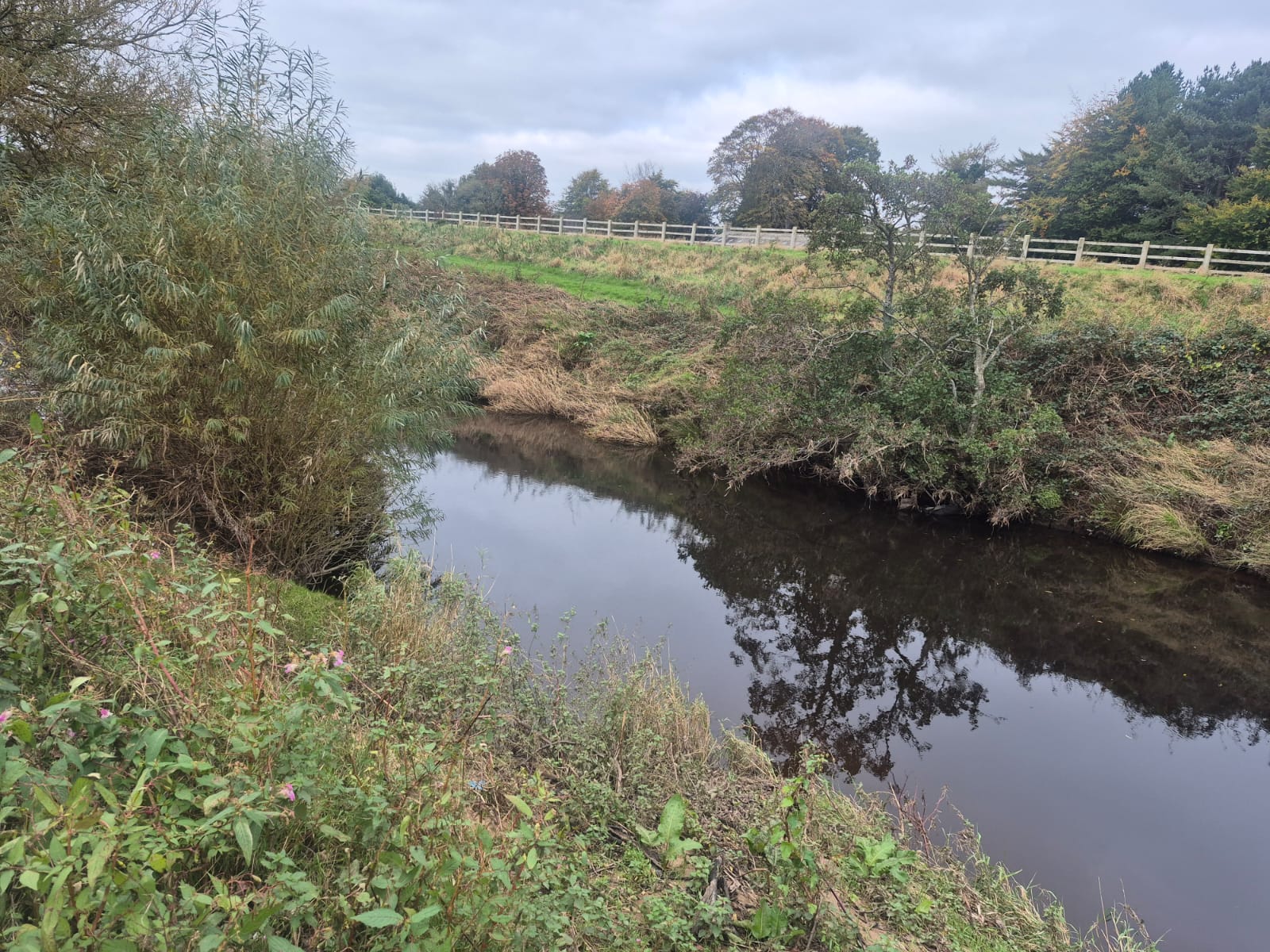 River Wyre – Churchtown photo 7