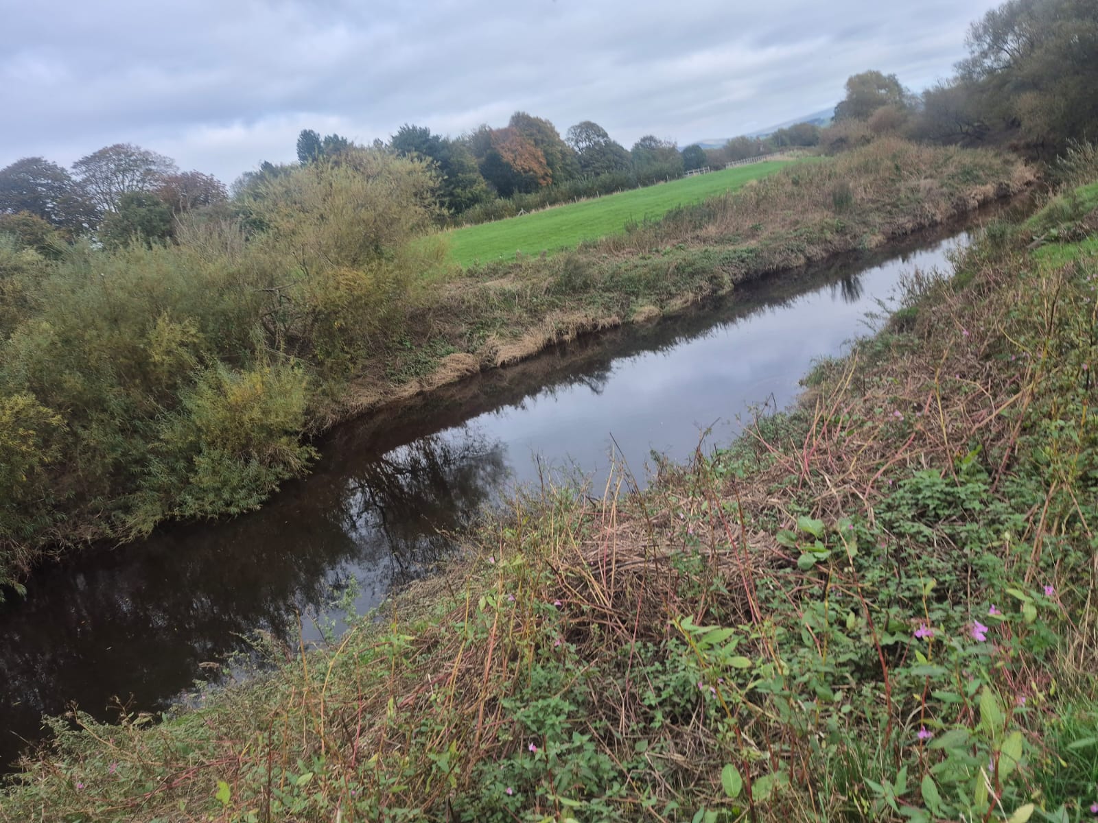 River Wyre – Churchtown photo 10
