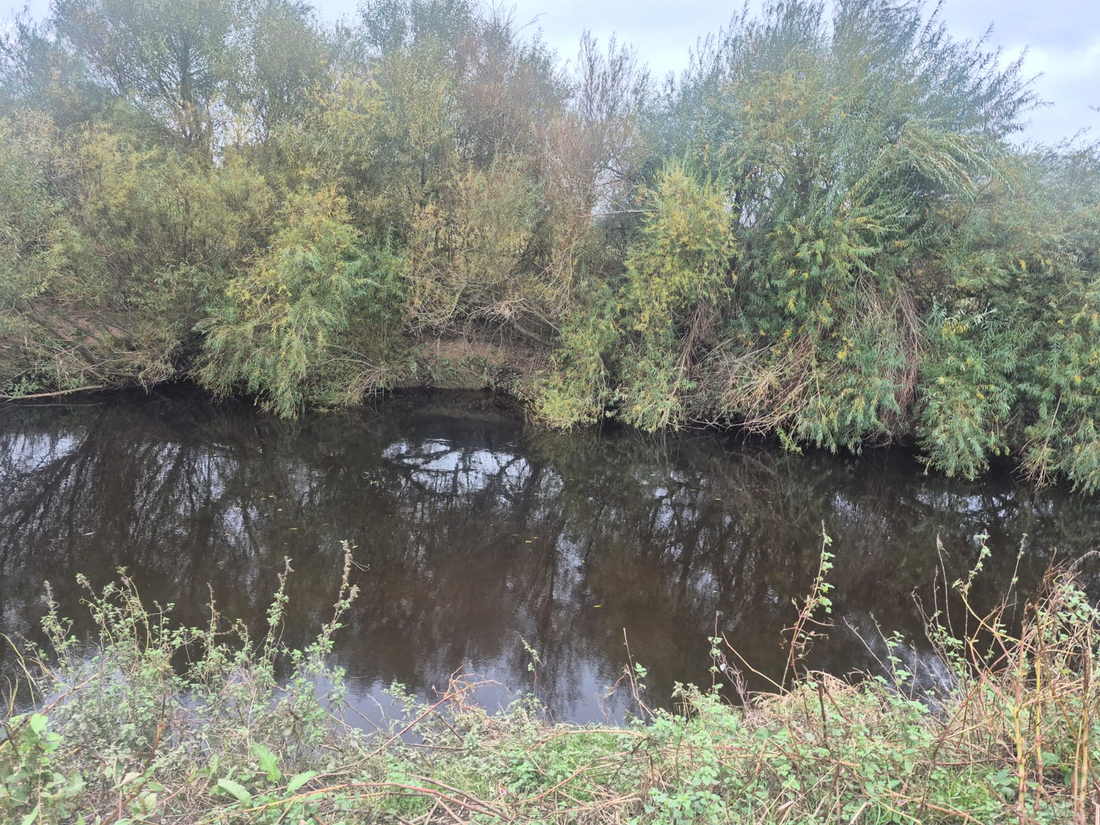 River Wyre – Churchtown photo 12
