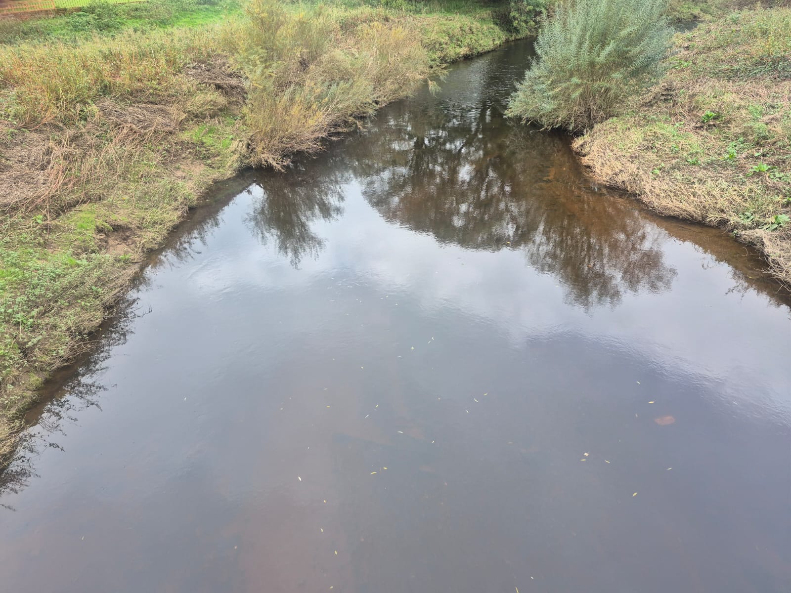 River Wyre – Churchtown photo 11