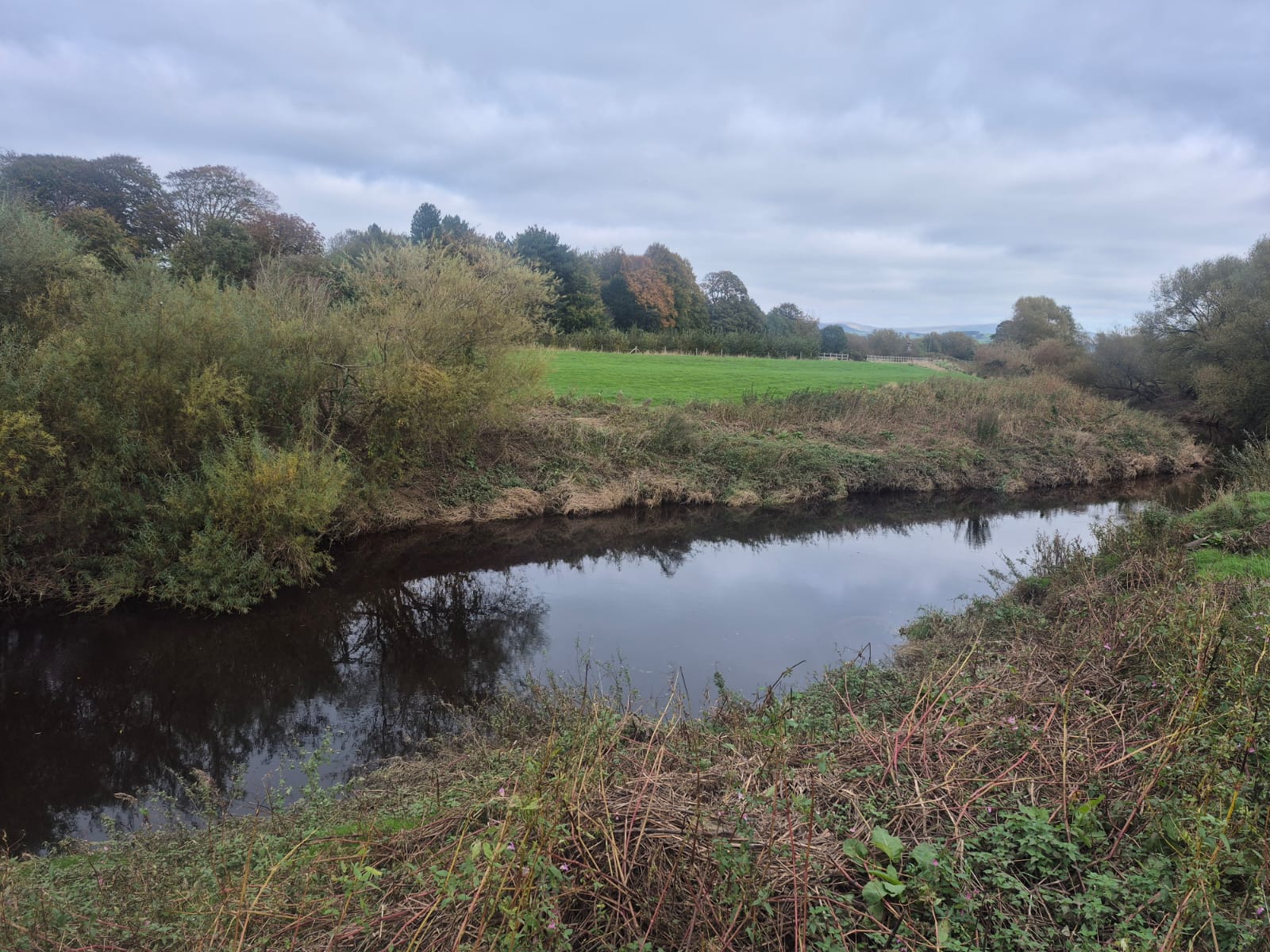 River Wyre – Churchtown photo 13