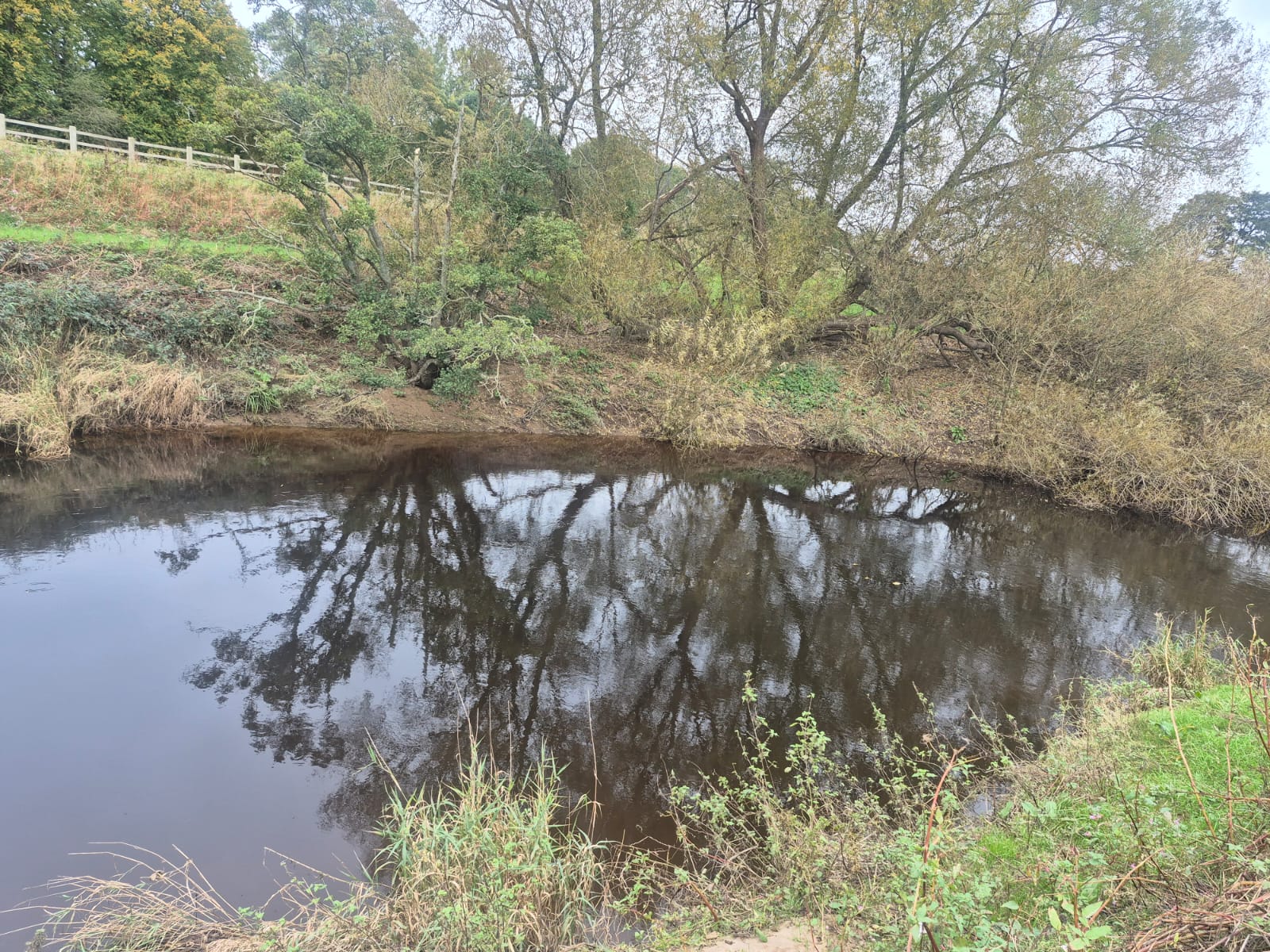 River Wyre – Churchtown photo 15