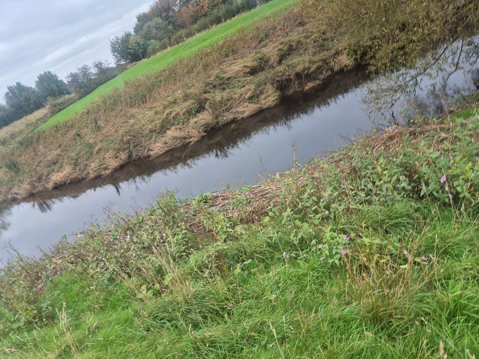 River Wyre – Churchtown photo 16