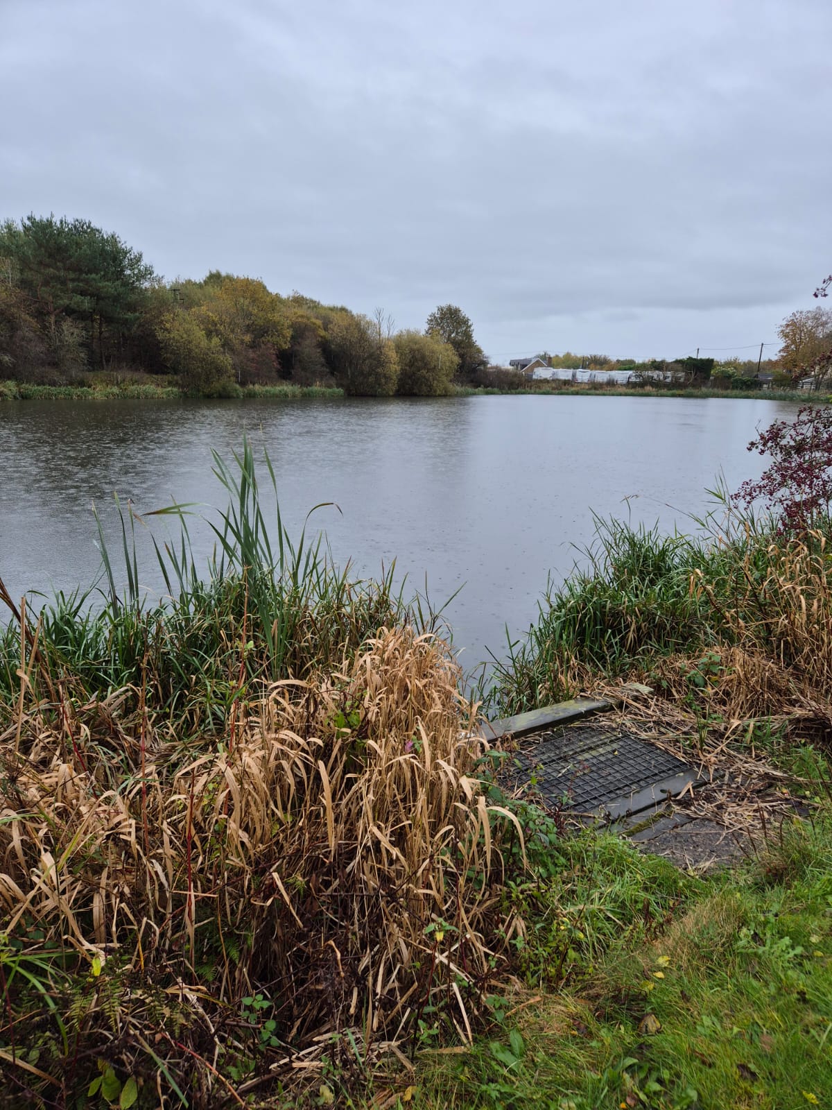  Woodshaw Reservoir photo 8