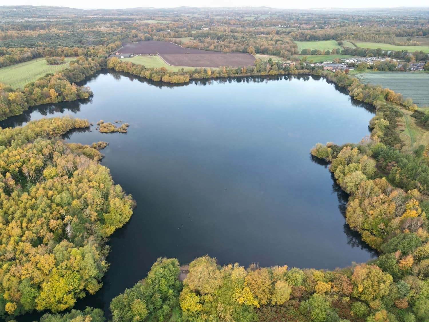 Big Sandiway photo 17