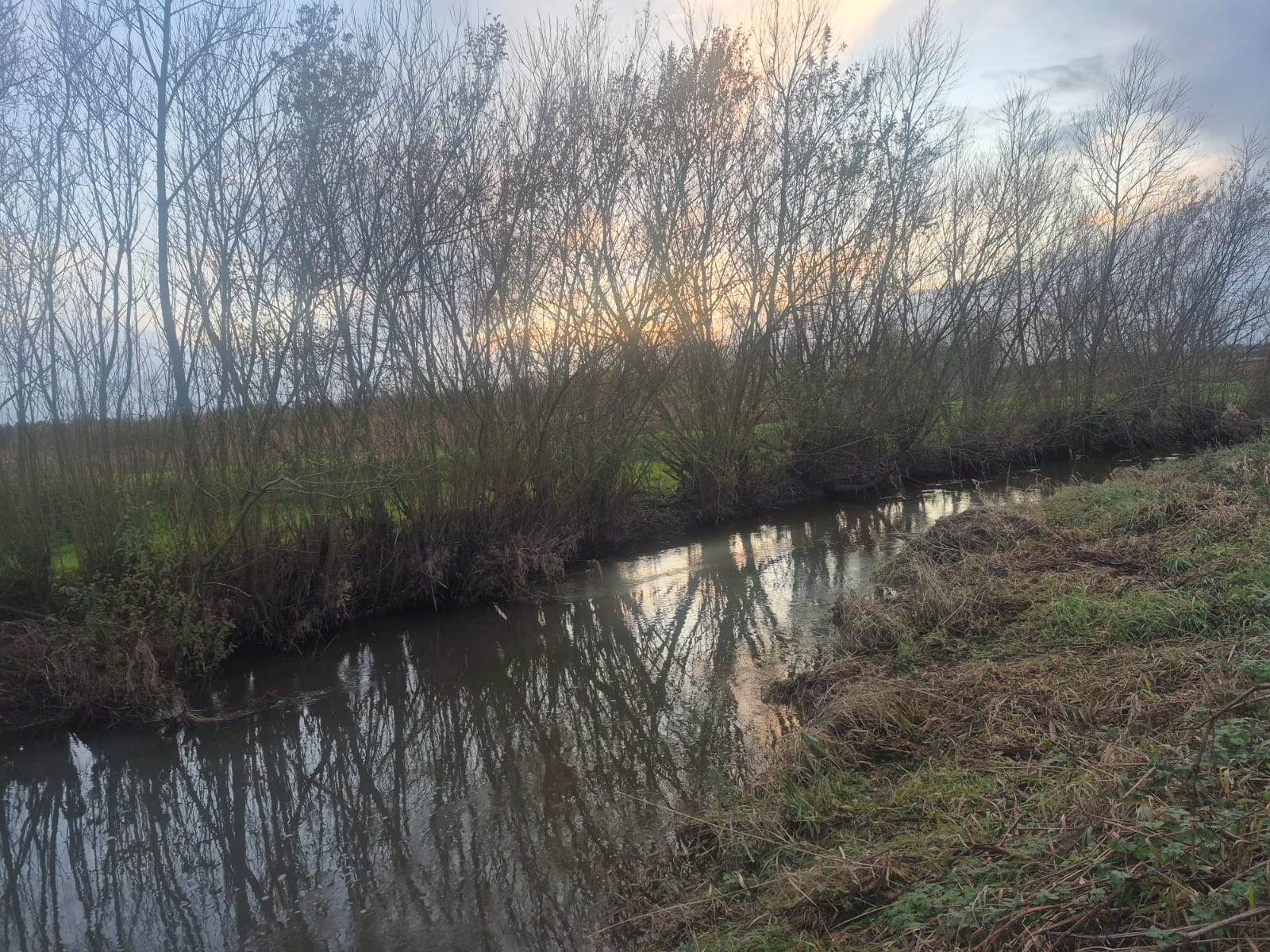 Gowy - Downstream of A56