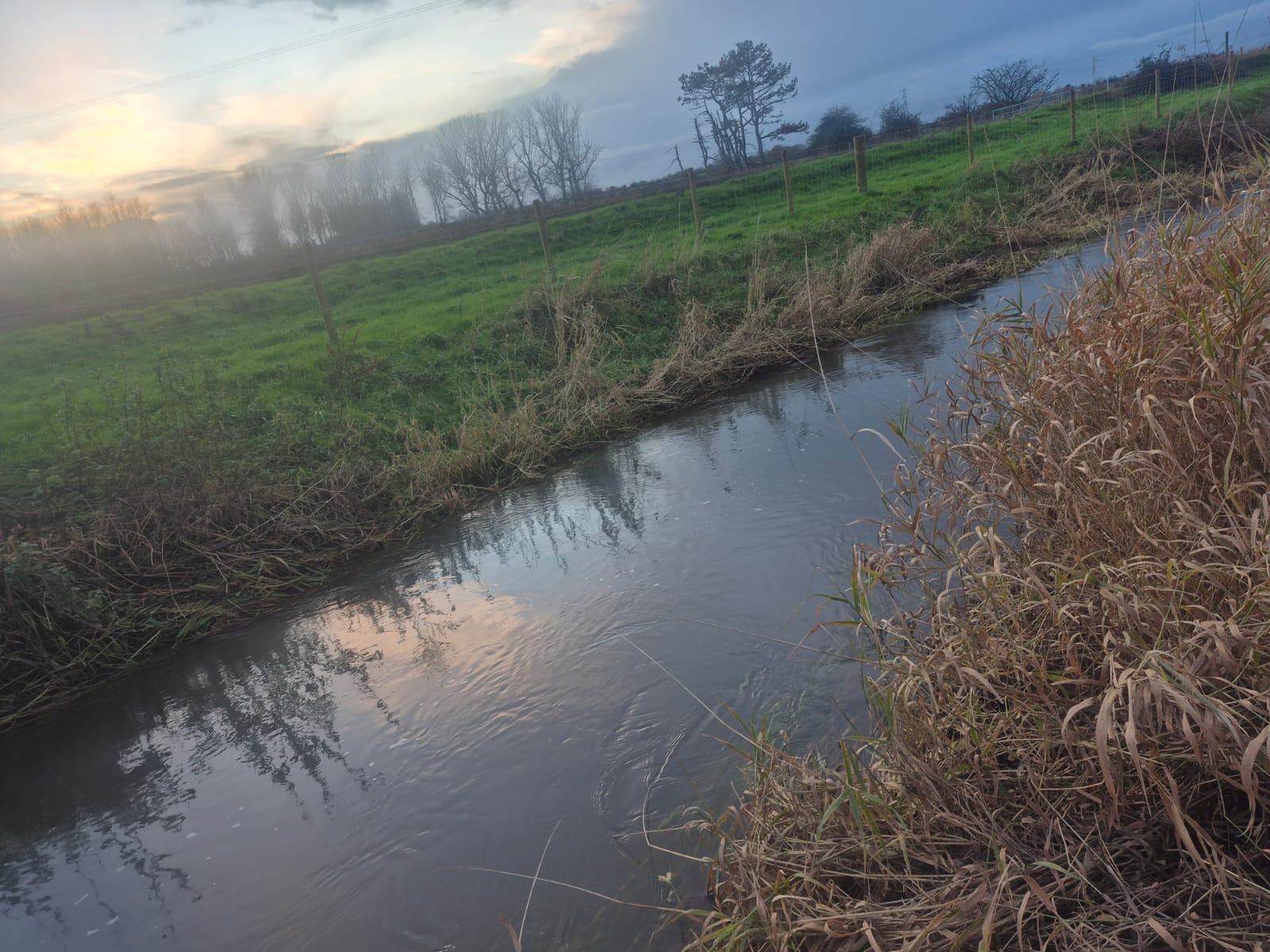 Gowy - Downstream of A56 photo 5