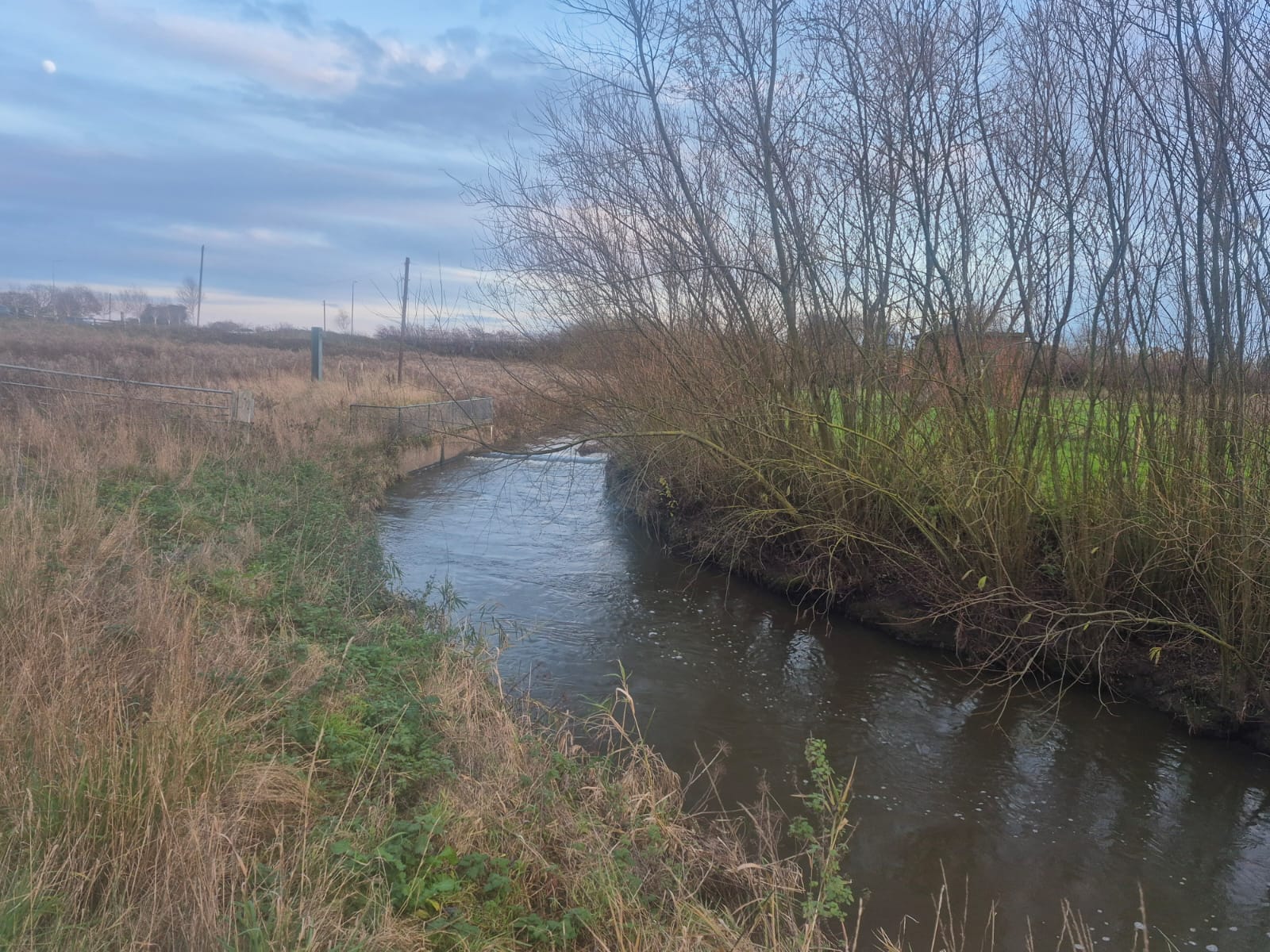 Gowy - Downstream of A56 photo 7