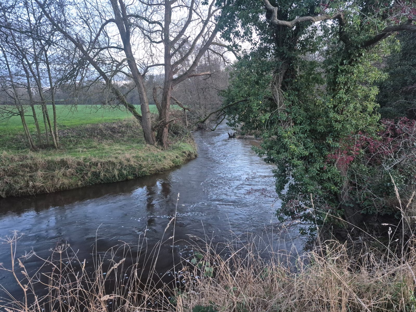River Dane – Holmes Chapel