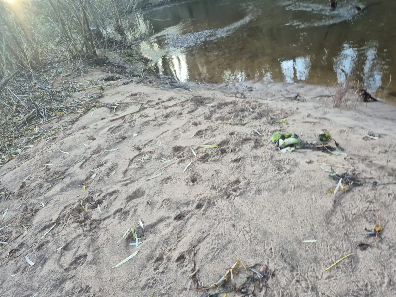 River Dane – Holmes Chapel photo 4