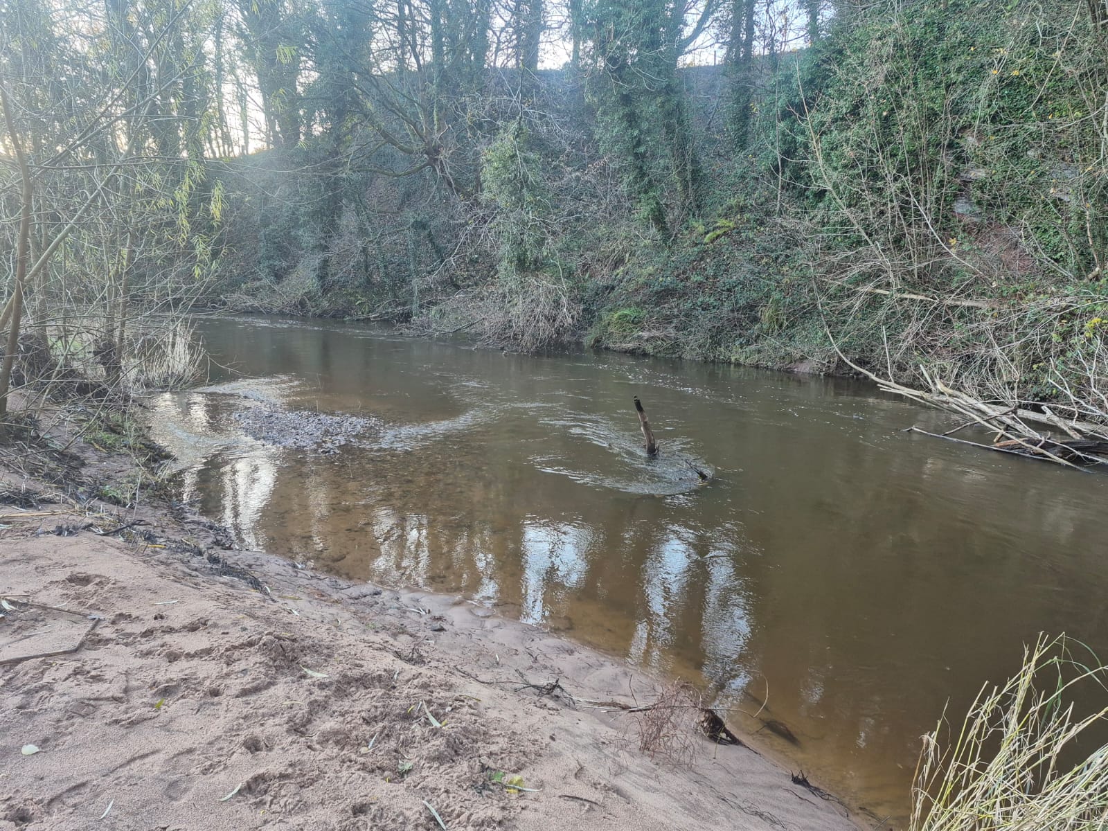 River Dane – Holmes Chapel photo 5