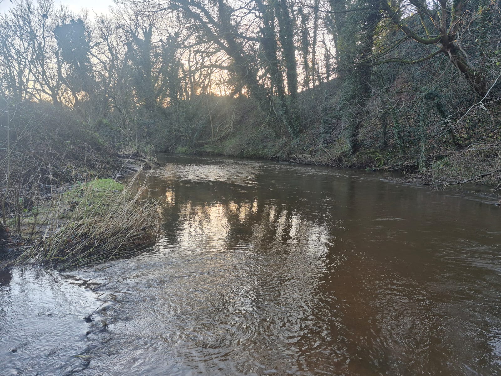 River Dane – Holmes Chapel photo 7