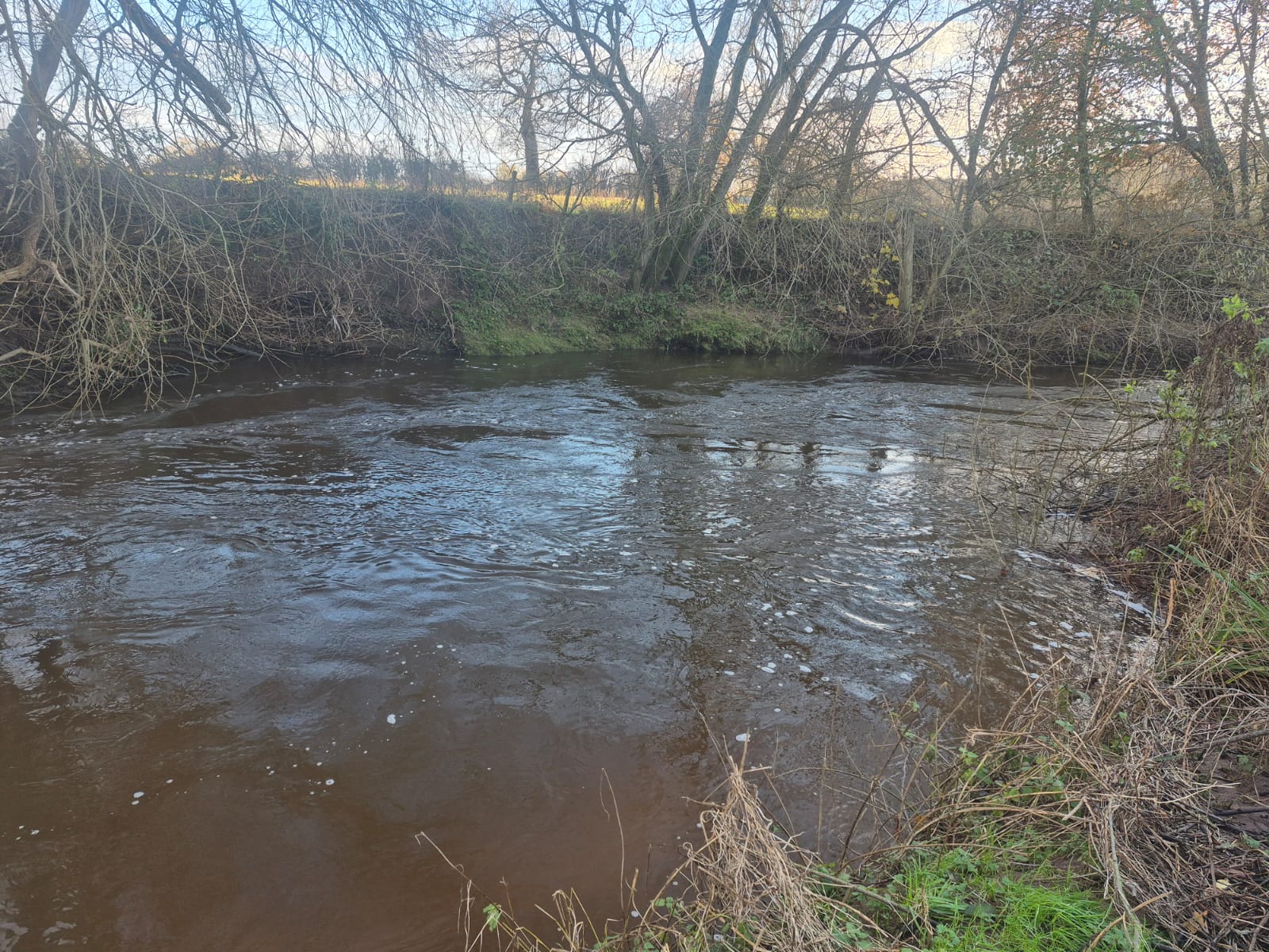 River Dane – Holmes Chapel photo 9