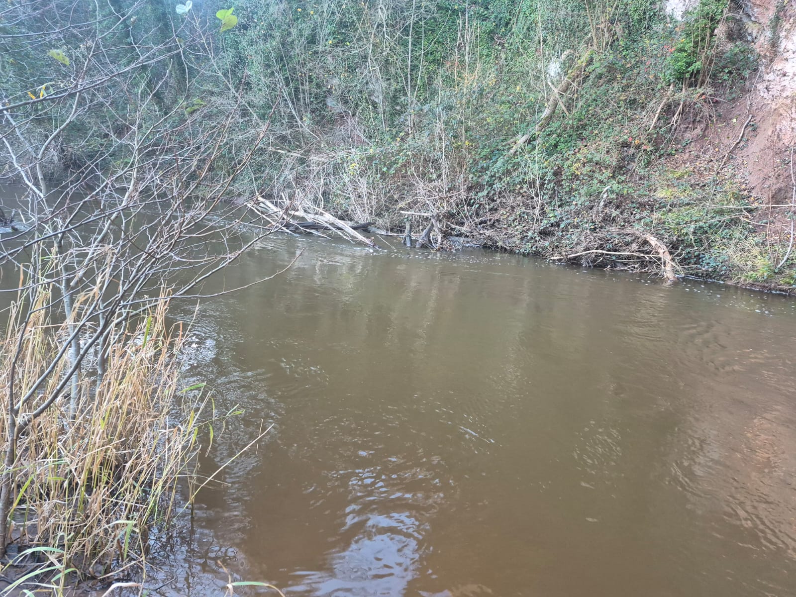 River Dane – Holmes Chapel photo 10