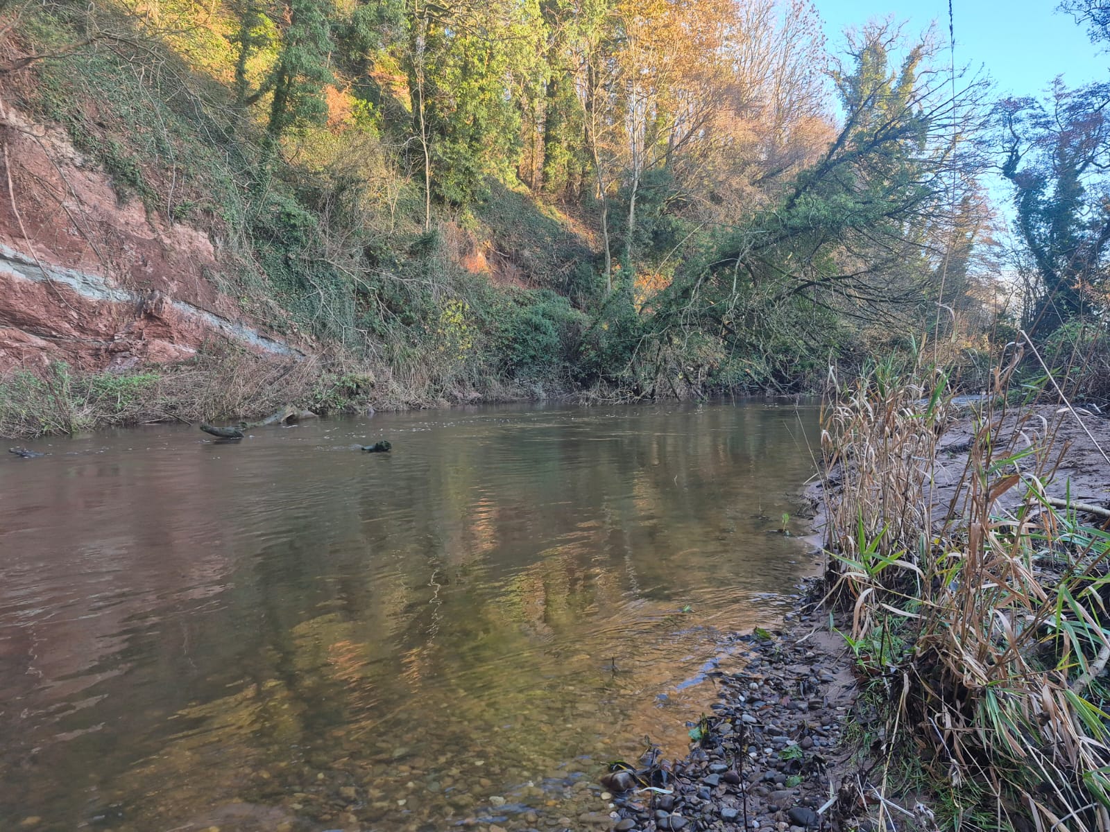 River Dane – Holmes Chapel photo 11