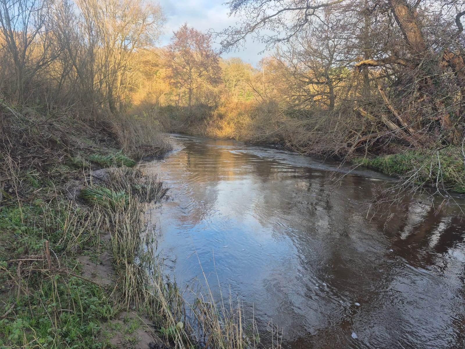 River Dane – Holmes Chapel photo 14