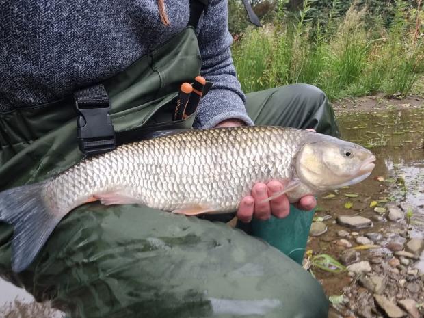 File preview 3: Scott Corrin 1 2025.jpg